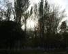 <b>Название: </b>Фотография 2, <b>Добавил:<b> Novyi_Svet_Admin<br>Размеры: 604x453, 84.7 Кб