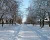 <b>Название: </b>Фотография 1, <b>Добавил:<b> Novyi_Svet_Admin<br>Размеры: 604x453, 89.9 Кб